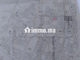 Terrain à vendre, 65m², constructible, avec titre - Terrain à vendre - Nador