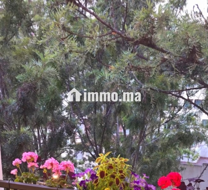 Studio cosy à louer meublé - Location Immobilier - Casablanca - photo 2