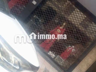 Vente magasin avec rendement locatif - Appartement à vendre - Casablanca