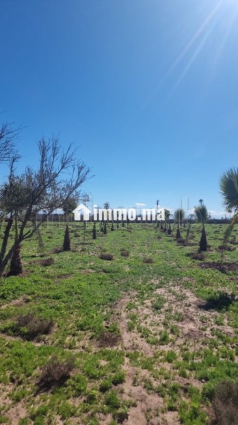 Terrain à la vente à Route de Fez.
Superficie 10000 m² - Vente Immobilier - Marrakech - photo 1