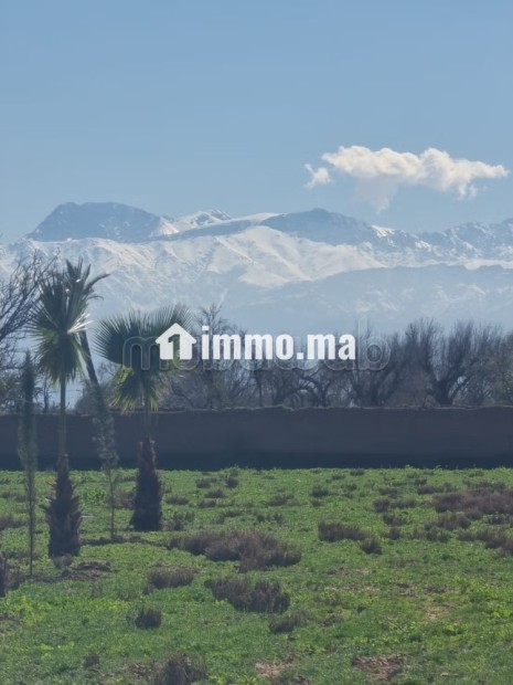 Terrain à la vente à Route de Fez.
Superficie 10000 m² - Vente Immobilier - Marrakech - photo 3