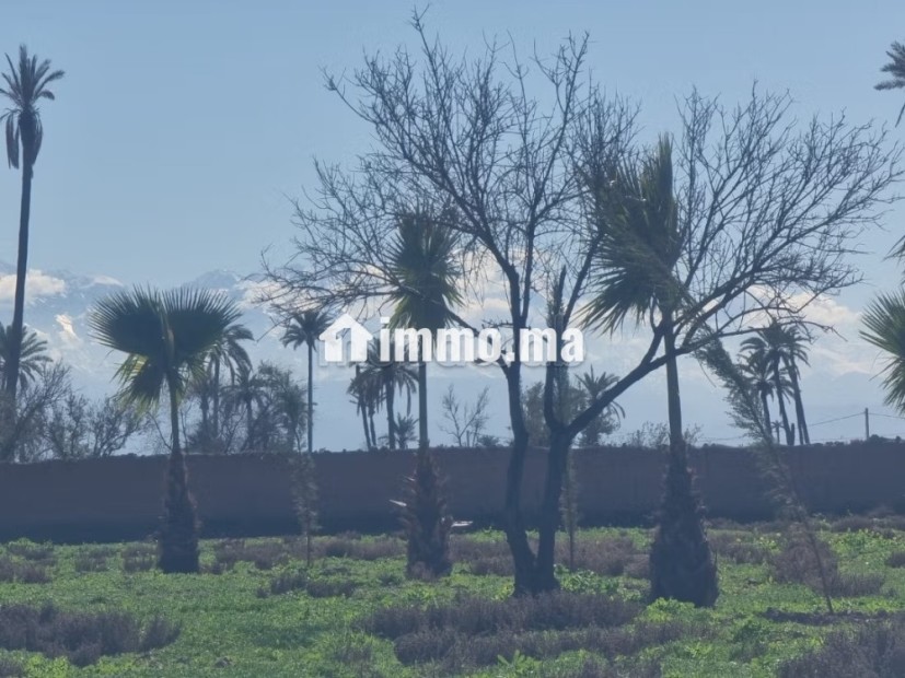 Terrain à la vente à Route de Fez.
Superficie 10000 m² - Vente Immobilier - Marrakech - photo 5