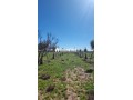 Terrain à la vente à Route de Fez.
Superficie 10000 m² - miniature 1