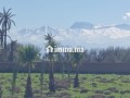 Terrain à la vente à Route de Fez.
Superficie 10000 m² - miniature 2