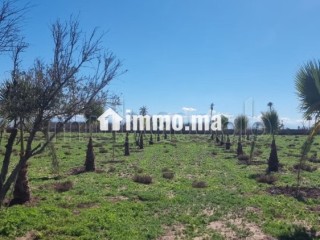 Terrain à la vente à Route de Fez.
Superficie 10000 m² - Terrain à vendre - Marrakech