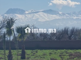 Terrain à la vente à Route de Fez.
Superficie 10000 m² - Terrain à vendre - Marrakech