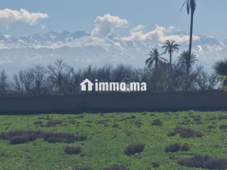 Terrain à la vente à Route de Fez.
Superficie 10000 m² - Terrain à vendre - Marrakech