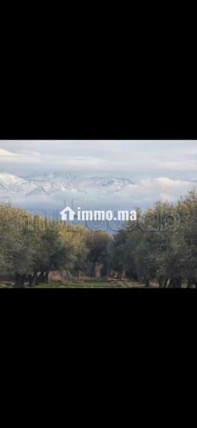 Terrain pour une villa - Vente Immobilier - Marrakech - photo 1