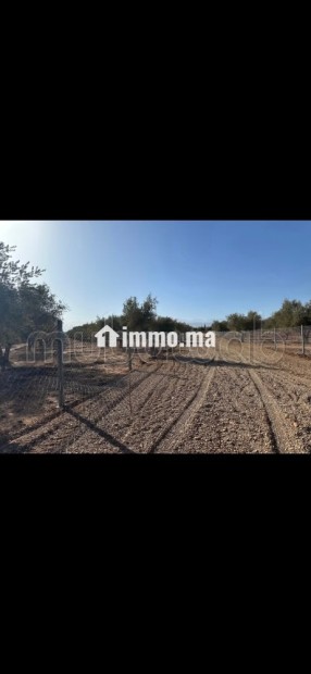 Terrain pour une villa - Vente Immobilier - Marrakech - photo 3