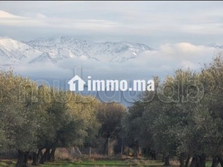 Terrain pour une villa - Villa à vendre - Marrakech