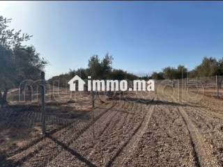 Terrain pour une villa - Villa à vendre - Marrakech