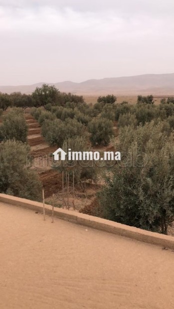 Maison en cours de rénovation avec Terrain - Vente Immobilier - Autre - photo 2