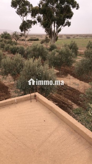Maison en cours de rénovation avec Terrain - Vente Immobilier - Autre - photo 3