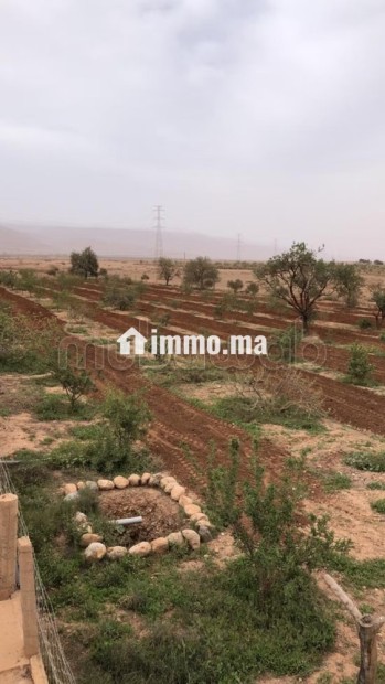 Maison en cours de rénovation avec Terrain - Vente Immobilier - Autre - photo 4