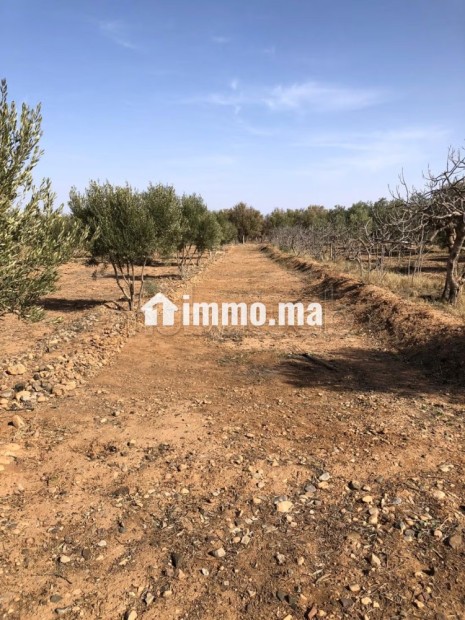 Maison en cours de rénovation avec Terrain - Vente Immobilier - Autre - photo 5