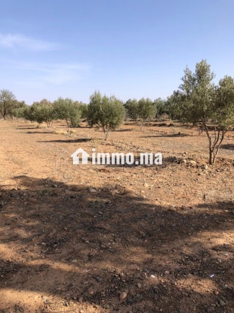 Maison en cours de rénovation avec Terrain - Vente Immobilier - Autre - photo 6