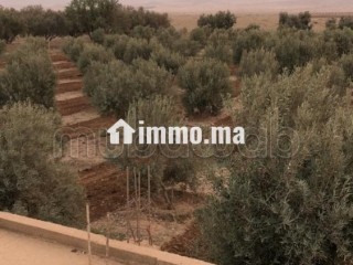 Maison en cours de rénovation avec Terrain - Maison à vendre - Autre