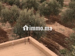 Maison en cours de rénovation avec Terrain - Maison à vendre - Autre