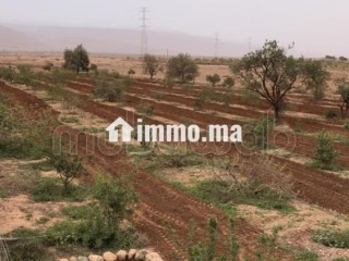 Maison en cours de rénovation avec Terrain - Maison à vendre - Autre