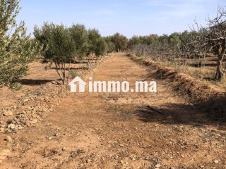 Maison en cours de rénovation avec Terrain - Maison à vendre - Autre