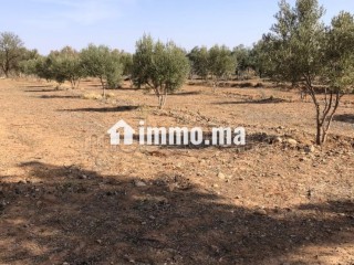 Maison en cours de rénovation avec Terrain - Maison à vendre - Autre