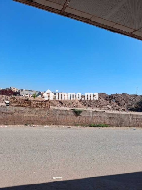 Hectares (6) titrés - Vente Immobilier - Marrakech - photo 1