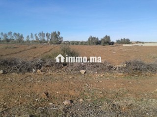 Terrain d'un hectare SD1 très bien placé sur route d'ourika - Terrain à vendre - Marrakech