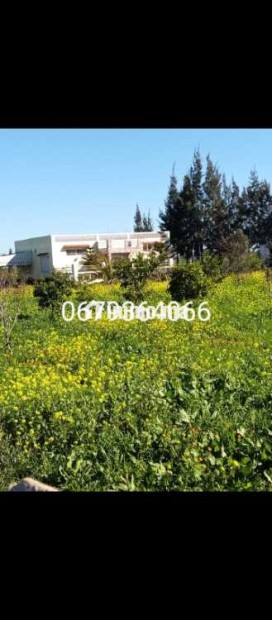 Ferme clôturée à louer à Ain Aouda centre - Location Immobilier - Rabat - photo 1