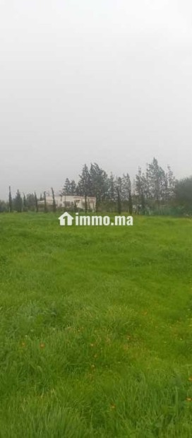 Ferme clôturée à louer à Ain Aouda centre - Location Immobilier - Rabat - photo 2