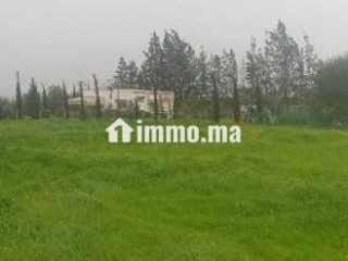 Ferme clôturée à louer à Ain Aouda centre - Terrain à louer - Rabat