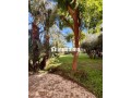 Palmeraie; Appartement meublé avec 2 Chs, jardin - miniature 5