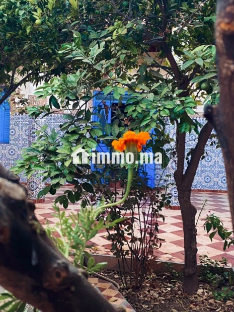 Tamslouht Marrakech Maroc - Vente Immobilier - Autre - photo 5
