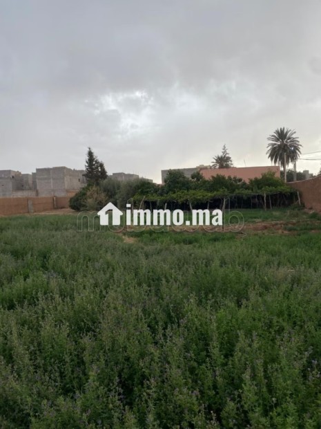 Tamslouht Marrakech Maroc - Vente Immobilier - Autre - photo 7