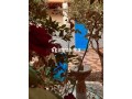 Tamslouht Marrakech Maroc - miniature 4