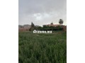 Tamslouht Marrakech Maroc - miniature 7
