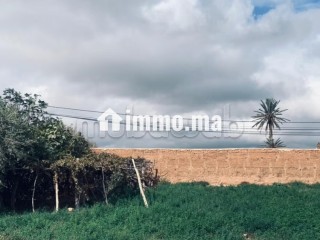 Tamslouht Marrakech Maroc - Appartement à vendre - Autre