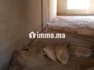 حمام للبيع ب بوزنيقة - Terrain à vendre - Bouznika