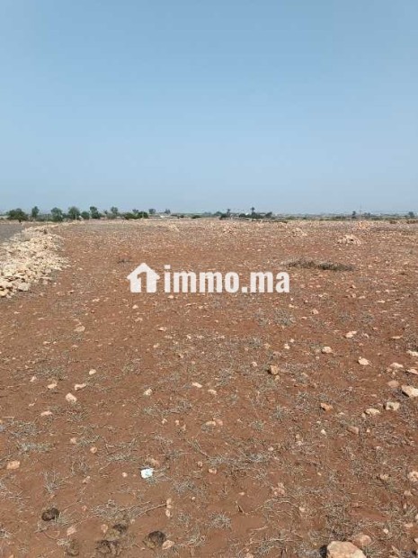 ارض فلاحية للبيع - Vente Immobilier - Casablanca - photo 1