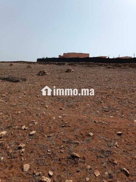 ارض فلاحية للبيع - Vente Immobilier - Casablanca - photo 2