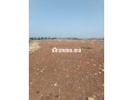 ارض فلاحية للبيع - miniature 1