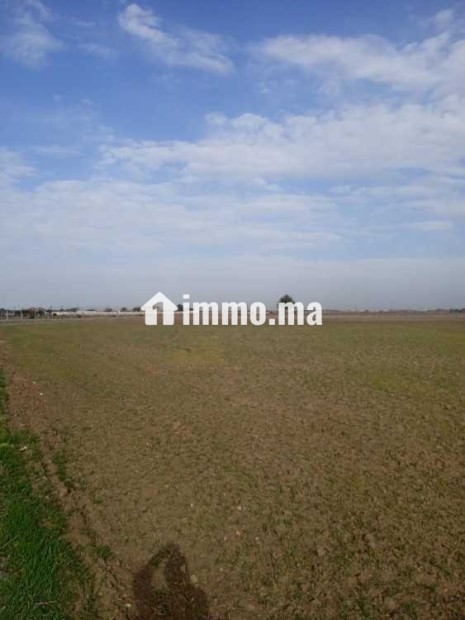 Fermes 3 hectares à bouznika - Vente Immobilier - Bouznika - photo 1