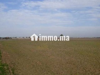 Fermes 3 hectares à bouznika - Terrain à vendre - Bouznika