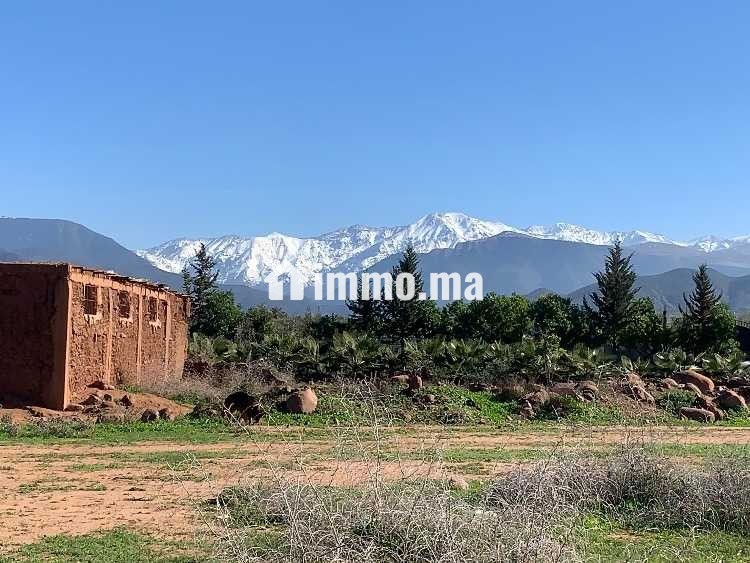 Terrain et maison route de l’Ourika - Vente Immobilier - Marrakech - photo 1