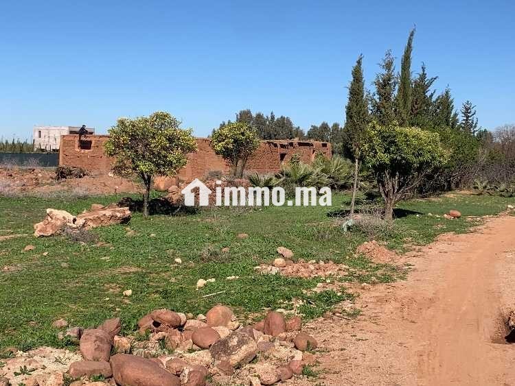 Terrain et maison route de l’Ourika - Vente Immobilier - Marrakech - photo 4