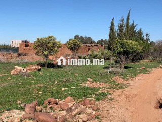 Terrain et maison route de l’Ourika - Terrain à vendre - Marrakech
