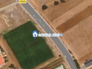 Terrain constructible R3 4 ha à Had Soualem - Terrain à vendre - Autre