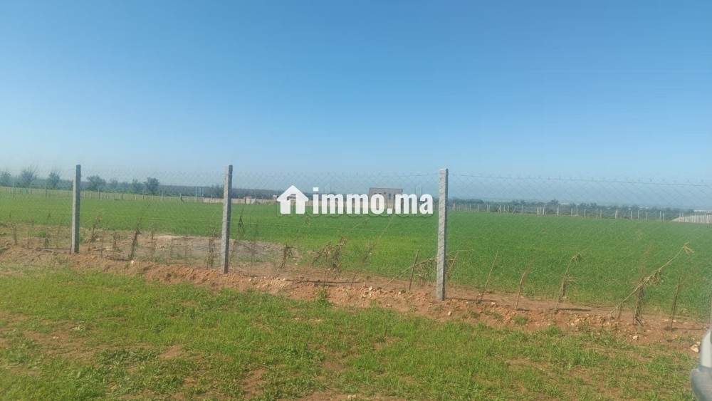 Terrain à la vente à Sidi Rahal Chatai. Surface totale 10000 m² - Vente Immobilier - Sidi Rahal Chatai - photo 1
