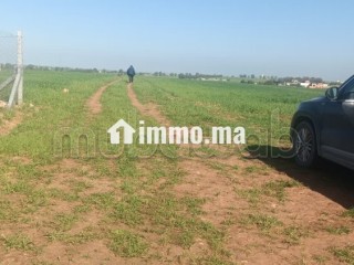 Terrain à la vente à Sidi Rahal Chatai. Surface totale 10000 m² - Terrain à vendre - Sidi Rahal Chatai
