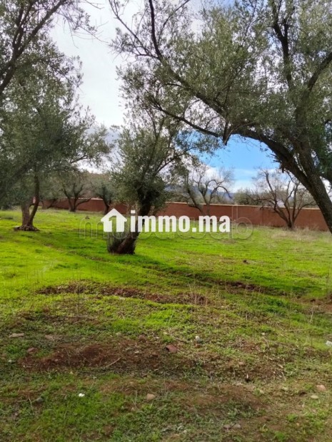 Terrain à vendre Ourika 460 m² - Vente Immobilier - Autre - photo 1
