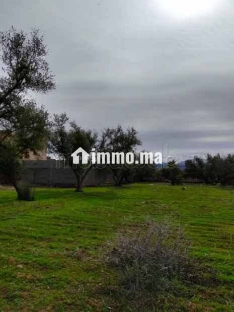 Terrain à vendre Ourika 460 m² - Vente Immobilier - Autre - photo 3